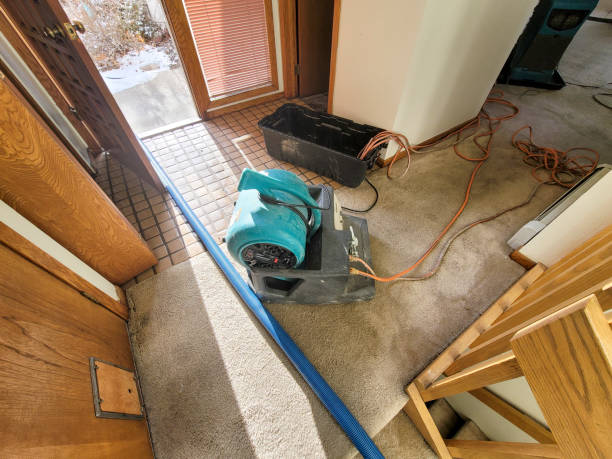 Best Water damage cleanup near me  in Bayville, NY