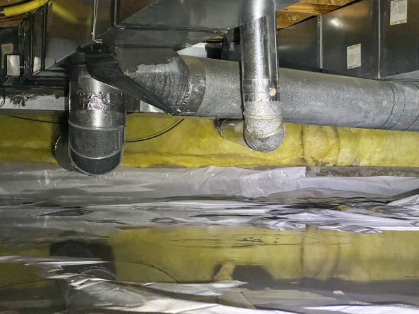 Best 24/7 water damage repair  in Bayville, NY