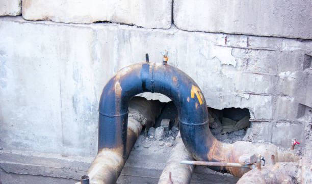 Best Flood damage cleanup  in Bayville, NY